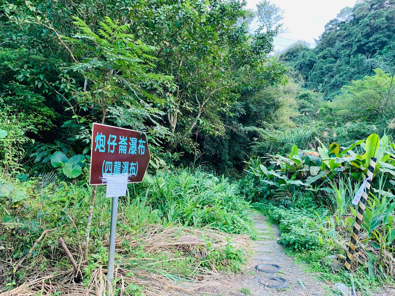 【新北深坑景點】炮子崙瀑布(四龍瀑布)叢林間的壯觀大瀑布,從入口到瀑布只要短短15分鐘啦!! - 第2張圖