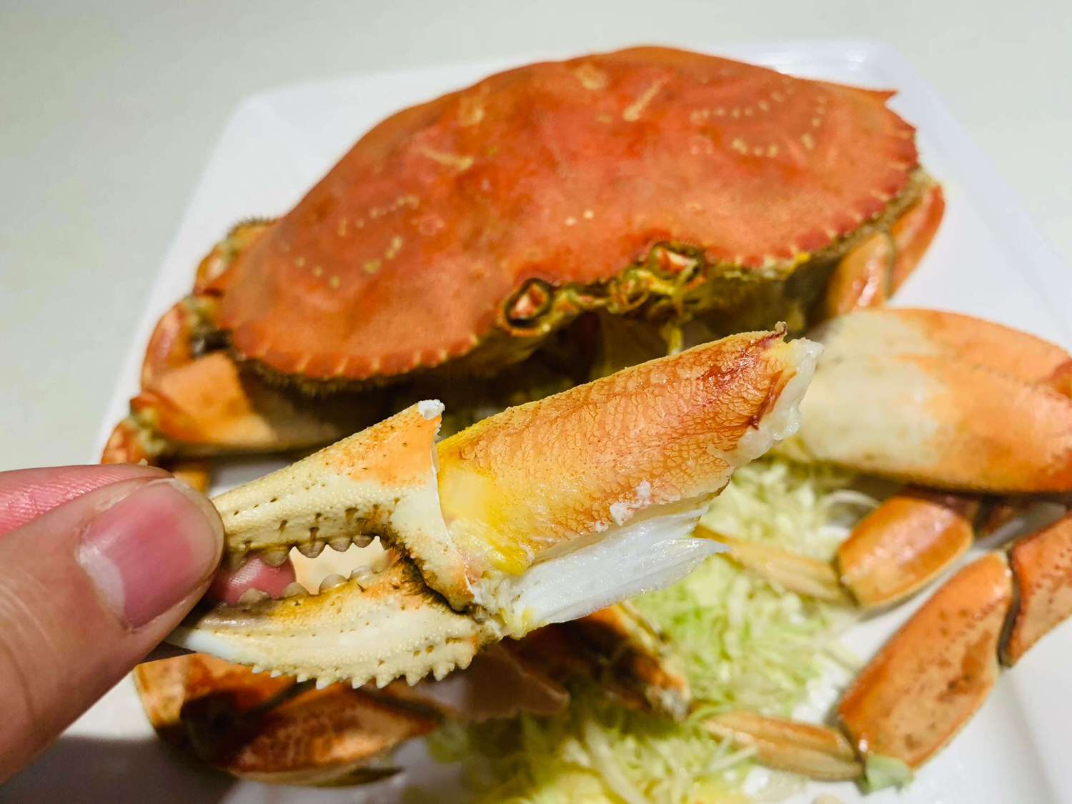 【新北泰山美食】集鮮城水產-海鮮熱炒合菜推薦,不僅有滿滿的海鮮還能唱卡拉OK阿!! - 第14張圖