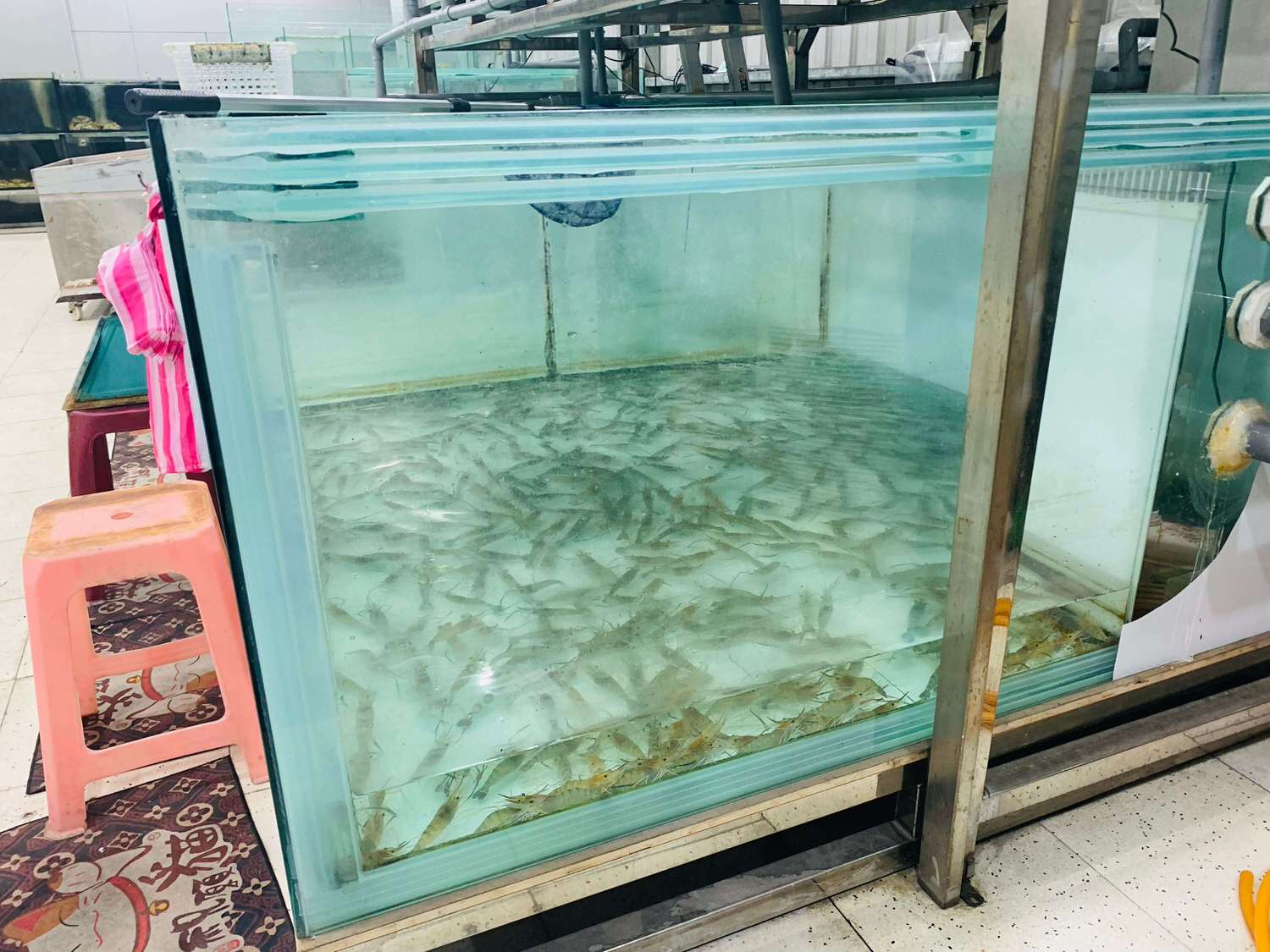 【新北泰山美食】集鮮城水產-海鮮熱炒合菜推薦,不僅有滿滿的海鮮還能唱卡拉OK阿!! - 第4張圖