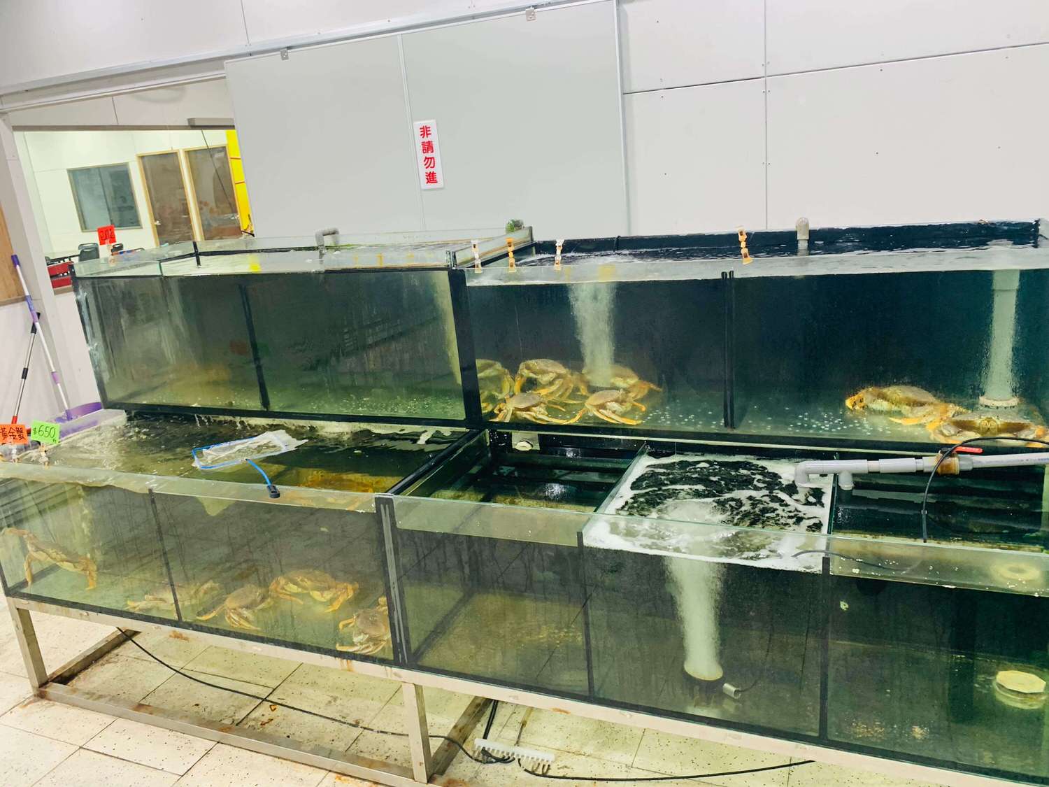 【新北泰山美食】集鮮城水產-海鮮熱炒合菜推薦,不僅有滿滿的海鮮還能唱卡拉OK阿!! - 第5張圖