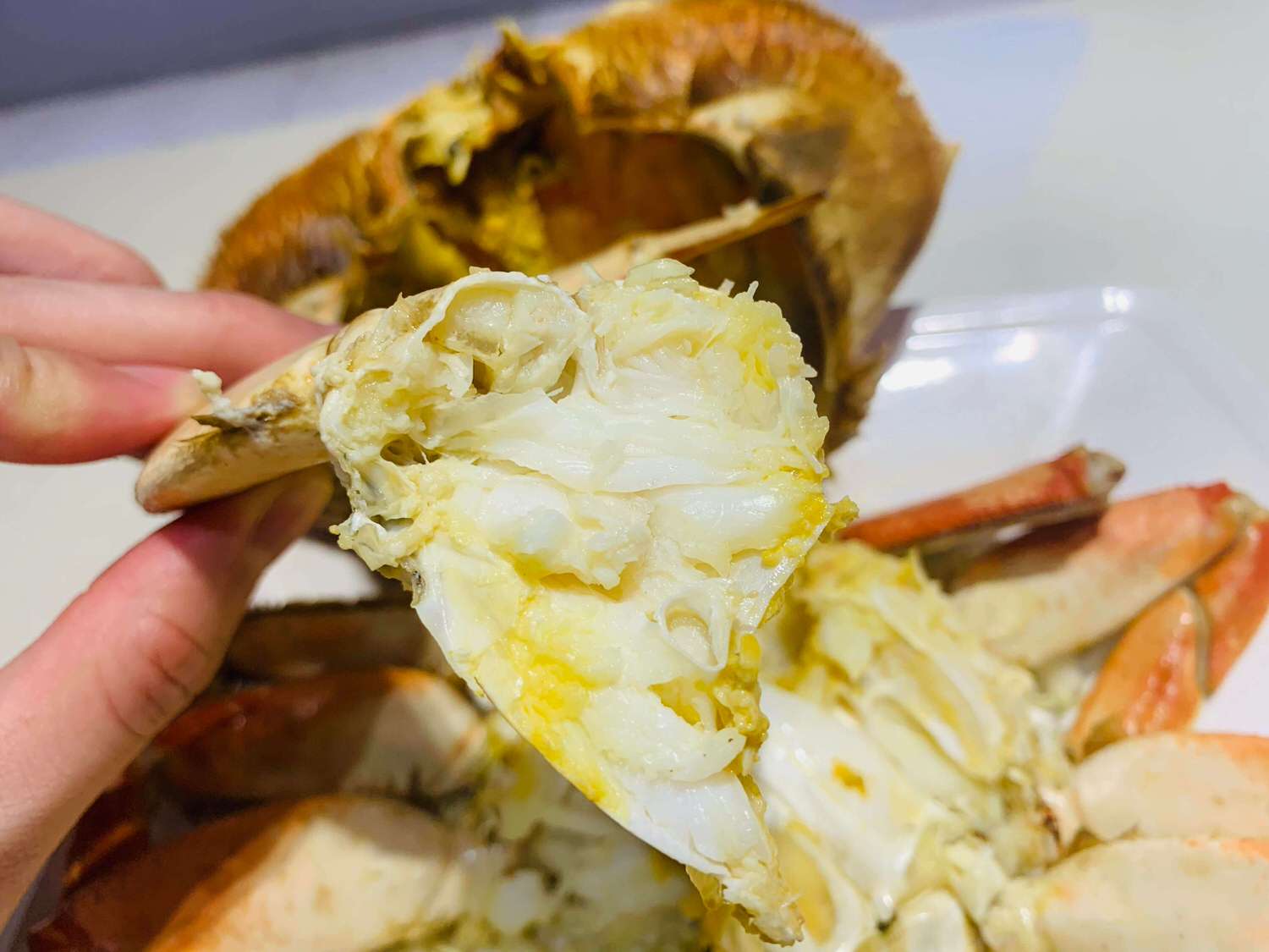 【新北泰山美食】集鮮城水產-海鮮熱炒合菜推薦,不僅有滿滿的海鮮還能唱卡拉OK阿!! - 第15張圖